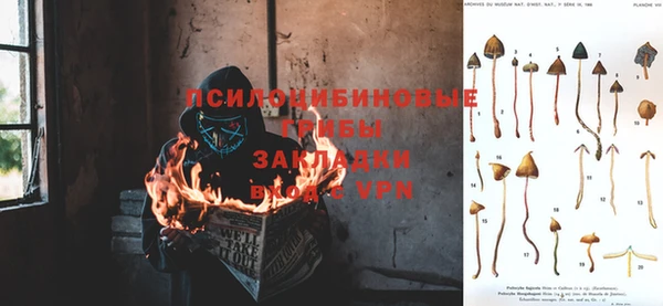 шишки Беломорск