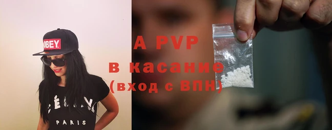 прущие грибы Белокуриха