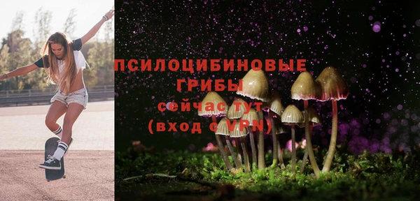дмт Белоозёрский