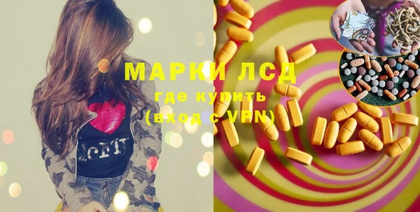 прущие грибы Белокуриха