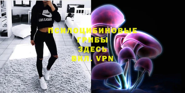 прущие грибы Белокуриха