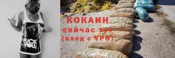 шишки Беломорск