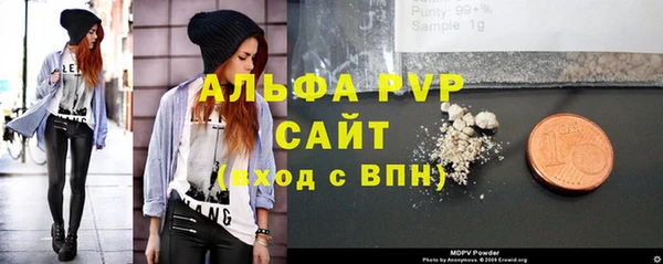 прущие грибы Белокуриха