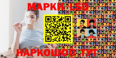 шишки Аргун