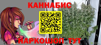 шишки Аргун