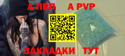 шишки Аргун