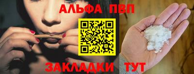 шишки Аргун