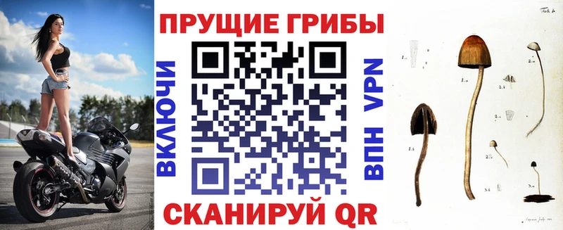 Галлюциногенные грибы ЛСД  Белорецк 