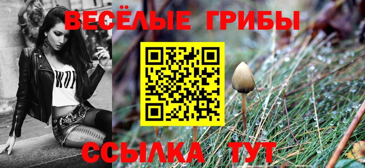 Псилоцибиновые грибы GOLDEN TEACHER Белорецк