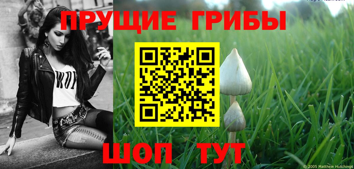 Псилоцибиновые грибы Magic Shrooms  Белорецк 